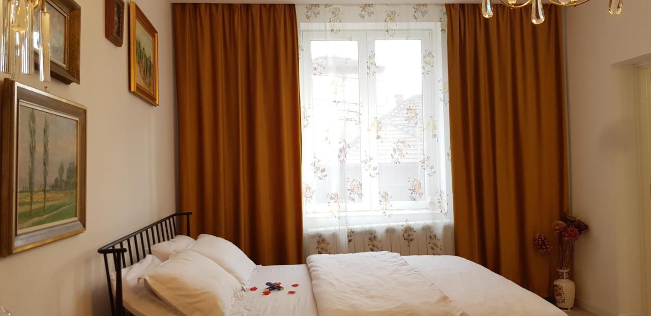 Garsoniera C&L Apartment Petroşani Екстериор снимка