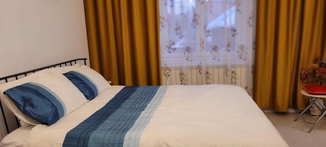 Garsoniera C&L Apartment Petroşani Екстериор снимка
