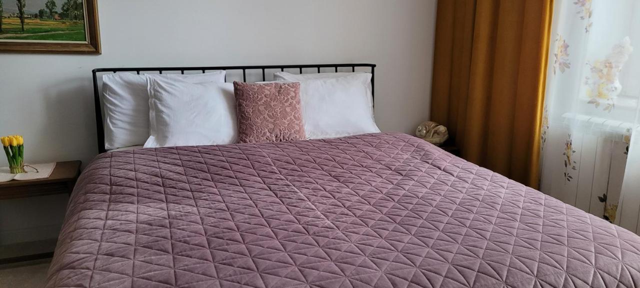 Garsoniera C&L Apartment Petroşani Екстериор снимка