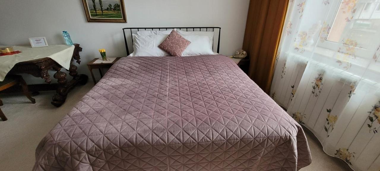 Garsoniera C&L Apartment Petroşani Екстериор снимка