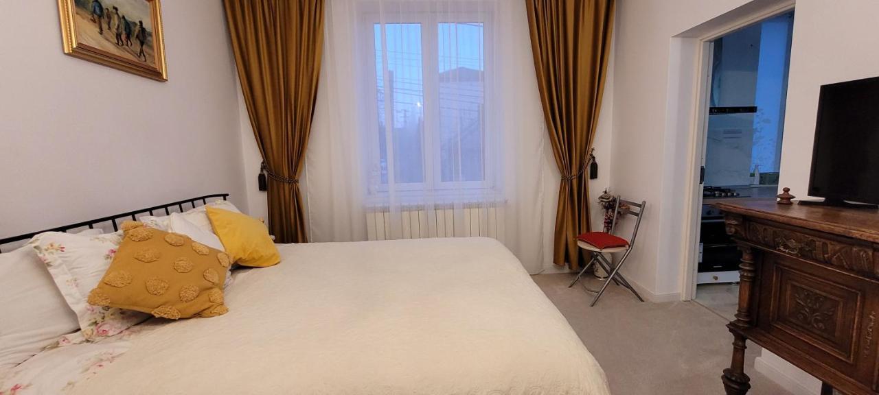 Garsoniera C&L Apartment Petroşani Екстериор снимка